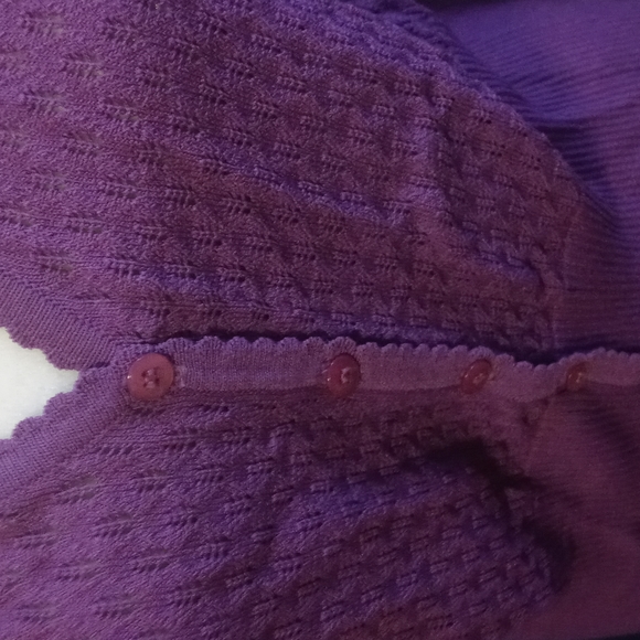 SOLD- Style & Co purple sweater size L. - Picture 2 of 4